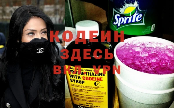 ПСИЛОЦИБИНОВЫЕ ГРИБЫ Арсеньев