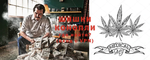 ПСИЛОЦИБИНОВЫЕ ГРИБЫ Арсеньев